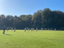Image result for Warsash Wasps Sports & Football Club
