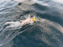 Image result for Isle of Man Swimming Club