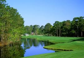 Image result for Litchfield Saracens