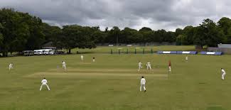 Image result for Tendring Cricket Club