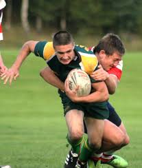 Image result for Higginshaw Arlfc