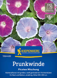 Image result for Prunkwinde