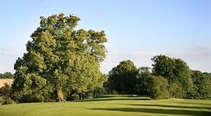 Image result for Alfreton Golf Club
