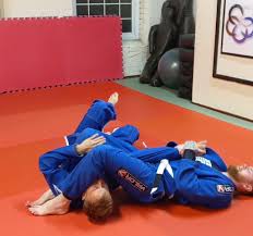Image result for Mansfield Constrictors Grappling Academy