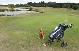 Image result for Sutton Green Golf Club