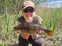 Image result for Hull & District Anglers' Association