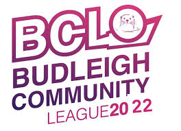 Image result for Budleigh Salterton Cricket Club
