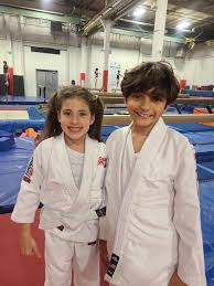 Image result for Felixstowe Judo club