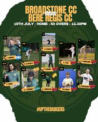 Image result for Bere Regis Cricket Club