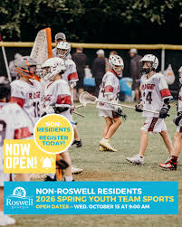 Image result for Spring View Community Sports Association