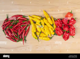 Afbeeldingsresultaat voor thai yellow hot pepper