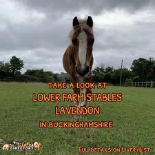 Image result for Lower Farm Stables