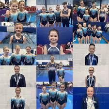 Image result for Stoke Elite Trampoline Club
