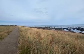 Image result for Carnoustie