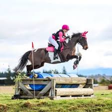 Image result for Patchett`s Green Riding Club