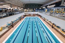 Image result for Haywards Heath Swimming Club