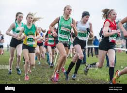 Image result for Leigh Harriers & Athletic Club