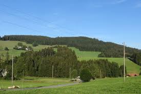Weisstannenhohe