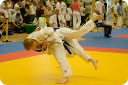 Image result for Merseyside judo association