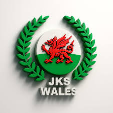 Image result for Ynys Mon Shukokai Karate Club, North Wales