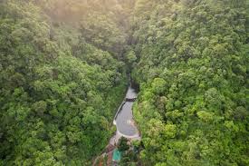 「parque los chor」の画像検索結果