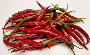 Afbeeldingsresultaat voor chile de arbol hot pepper