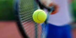 Image result for Hanney Tennis Club