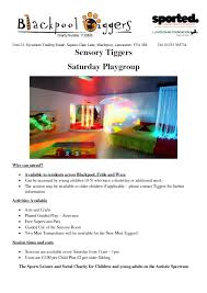 Image result for Blackpool Tiggers