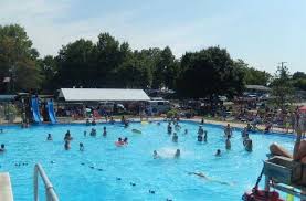 Image result for York University Pool Club