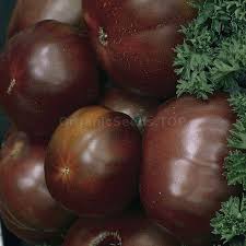 Afbeeldingsresultaat voor black elephant tomato