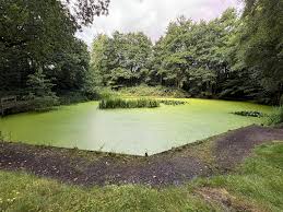 Image result for Penketh & Old Hall Angling Society