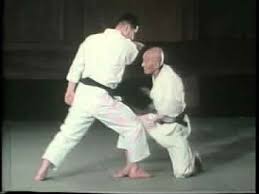 Image result for Independent Wadoryu Karate Federation