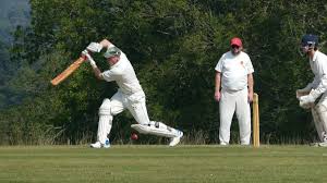 Image result for Waverley Cricket Club