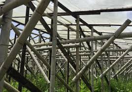 Image result for 4870315629土井