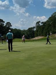 Image result for The Alt Golf Club
