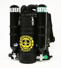 Image result for innerspace divers