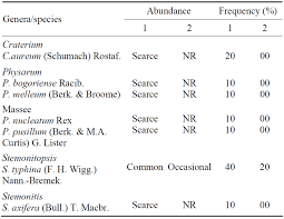 Attēlu rezultāti vaicājumam “Craterium aureum stalked”