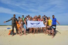 Image result for World Divers