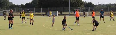 Image result for Sudbury Hockey Club