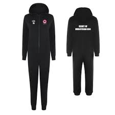 Image result for Heart Of Midlothian Asc