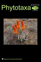 Attēlu rezultāti vaicājumam “Oligonema persimile”