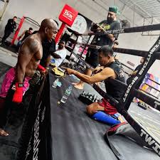 Image result for St Neots Muay Thai
