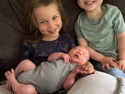 Image result for Howard Lindsay Shooting Ground, Nr Winchester