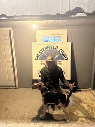 Image result for Ukc Falcons