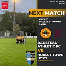 Image result for Banstead Athletic Fc