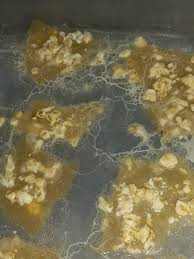 Attēlu rezultāti vaicājumam “Didymium bahiense”