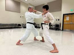 Image result for Ifield Shotokan Karate Club