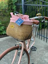 Image result for bicycle basket