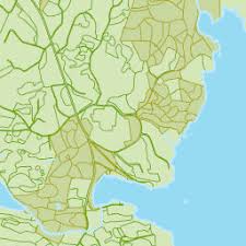 Attēlu rezultāti vaicājumam “Exochorda giraldii var. wilsonii”