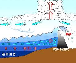 Image result for 高潮 津波 別物